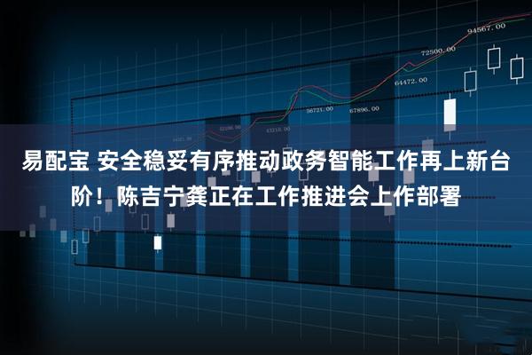 易配宝 安全稳妥有序推动政务智能工作再上新台阶！陈吉宁龚正在工作推进会上作部署